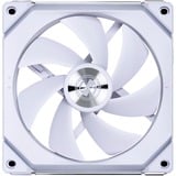 Lian Li UNI FAN SL140V2 Single Pack case fan Wit, RGB leds, 4-pins PWM fan-connector