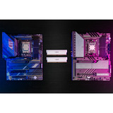 Crucial PRO 32 GB DDR5-6400 (2x 16 GB) werkgeheugen Wit, CP2K16G64C38U5W, XMP 3.0, EXPO