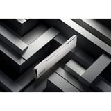 KLEVV 32 GB DDR5-6000 (2x 16 GB) Kit werkgeheugen Wit, KD5AGUA80-60A300I, BOLT V, XMP 3.0, EXPO