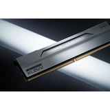 KLEVV 32 GB DDR5-6000 (2x 16 GB) Kit werkgeheugen Wit, KD5AGUA80-60A300I, BOLT V, XMP 3.0, EXPO