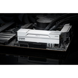 KLEVV 32 GB DDR5-6000 (2x 16 GB) Kit werkgeheugen Wit, KD5AGUA80-60A300I, BOLT V, XMP 3.0, EXPO