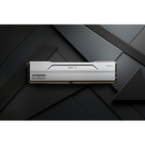KLEVV BOLT V 32 GB DDR5-6000 (2x 16 GB) werkgeheugen Wit, KD5AGUA80-60A300I, XMP 3.0, EXPO