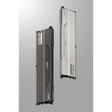 KLEVV BOLT V 32 GB DDR5-6000 (2x 16 GB) werkgeheugen Wit, KD5AGUA80-60A300I, XMP 3.0, EXPO