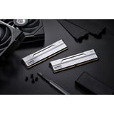 KLEVV BOLT V 32 GB DDR5-6000 (2x 16 GB) werkgeheugen Wit, KD5AGUA80-60A300I, XMP 3.0, EXPO