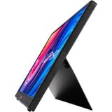 ASUS ProArt PA148CTV 14" monitor Zwart, Micro HDMI, USB-C