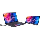 ASUS ProArt PA148CTV 14" monitor Zwart, Micro HDMI, USB-C