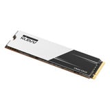 KLEVV CRAS C910 500 GB SSD Zwart, K500GM2SP0-C91, PCIe Gen 4.0 x4, NVMe 2.0