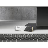 KLEVV CRAS C910 500 GB SSD Zwart, K500GM2SP0-C91, PCIe Gen 4.0 x4, NVMe 2.0