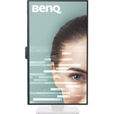 BenQ  27" monitor Wit