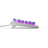 SteelSeries Apex 3 TKL RGB gaming toetsenbord Lichtpaars, US lay-out (QWERTY), SteelSeries Whisper-Quiet, 80% (TKL)	, RGB leds