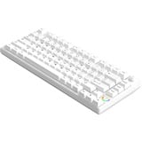 HelloGanss HS75T White RGB mechanisch toetsenbord Wit, US lay-out (QWERTY), TTC-Switches, 75%, RGB leds, PBT Doubleshot keycaps, hot swap, 2,4 GHz | Bluetooth | USB-C