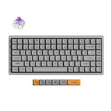 Keychron K2 HE-F1C Concrete Edition RGB mechanisch toetsenbord Zwart, US lay-out (QWERTY), Gateron Double-Rail Magnetic Nebula, 75%, 75%, RGB leds, OSA double-shot PBT, hot swap, 2.4GHz | Bluetooth 5.2 | USB-C