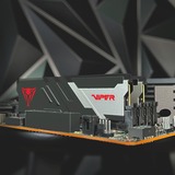 Patriot Viper Venom 32 GB DDR5-7000 (2x 16 GB) werkgeheugen Zwart, PVV532G700C32K, XMP 3.0