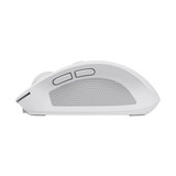 Trust Ozaa Compact Draadloze Muis Oplaadbaar Wit, 800-3200 Dpi, 2.4GHz, Bluetooth, Stille Knoppen