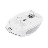 Trust Ozaa Compact Draadloze Muis Oplaadbaar Wit, 800-3200 Dpi, 2.4GHz, Bluetooth, Stille Knoppen