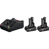 Bosch 2 x GBA 12V 6.0Ah + GAL 12V-40 Professional Starterset