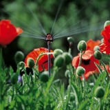 GARDENA Multi 6-sproeikop Oranje/grijs, 1396-20, 2 stuks