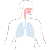 Medisana IN 550 Inhalator 