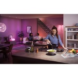 Philips Hue White and Color Ambiance 1-pack GU10 ledlamp 2000K - 6500K, Dimbaar