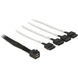 DeLOCK Mini SAS HD SFF-8643 naar 4x SATA 7-Pin kabel Zwart, 0,5 meter