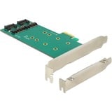 PCI Express Card > 2 x internal M.2 Key B 110 mm - Low Profile Form Factor adapter