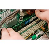 Crucial 8 GB DDR4-3200 (1x 8 GB) werkgeheugen CT8G4DFRA32A