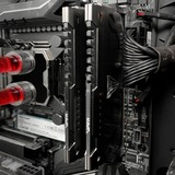 Patriot Viper Steel 16 GB DDR4-3200 (2x 8 GB) werkgeheugen Grijs, PVS416G320C6K, XMP