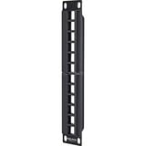 DeLOCK Keystone Patchpanel 10" 12 Port patchpaneel Zwart