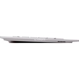 CHERRY DW 8000 draadloze desktopset Zilver, US lay-out (QWERTY), 100%, US lay-out, 1000 - 2000 dpi