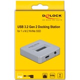 DeLOCK M.2 Docking Station voor M.2 NVMe PCIe SSD Grijs