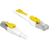 DeLOCK Netwerkabel RJ-45 Secure met Cat.6a Wit, 85335, 5 meter