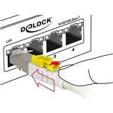DeLOCK Netwerkkabel RJ-45 Secure met Cat.6a Wit, 85335, 5 meter