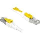 DeLOCK Patchkabel RJ-45 Secure met Cat.6a Wit, 85333, 3 meter