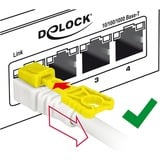 DeLOCK Patchkabel RJ-45 Secure met Cat.6a Wit, 85333, 3 meter