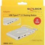 DeLOCK USB Type-C 3.1 Docking Station Zilver, LAN, VGA, HDMI, USB, SD, Audio