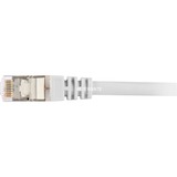 Sharkoon Cat.6 netwerkkabel Grijs, 2 meter, SFTP, RJ-45