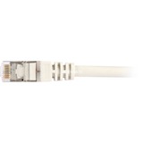 Sharkoon Patchkabel SFTP, RJ-45 met Cat.6 Grijs, 0,25 meter