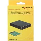 DeLOCK 2x M.2 Key B SATA > SuperSpeed USB 10 Gbps (USB 3.1 Gen 2) met RAID externe behuizing Zwart, Micro-USB-B 3.1