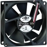 Inter-Tech Case fan 80 mm Bulk case fan Zwart, 80 x 80 x 25 mm, 3-pins fan connector