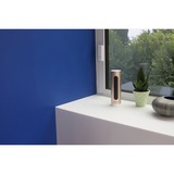 Netatmo Slimme Binnencamera netwerk camera Goud, WLAN/1080p/4MP