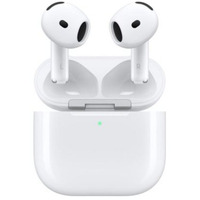 Apple  earbuds Wit
