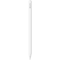 Apple Pencil Pro stylus Wit