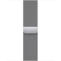Apple Zilverkleurig Milanees bandje (41 mm) armband Zilver