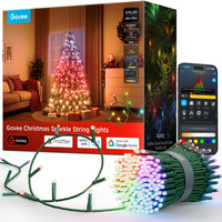 Govee Christmas Sparkle String Lights verlichting 30m