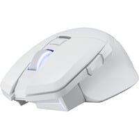 PowerColor ALPHYN AM10 Wireless Gaming Mouse Wit, 100 - 26000 DPI, 8K, RGB, USB / 2.4G / Bluetooth 5.2