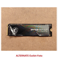 MSI SPATIUM M571 DLP 4 TB SSD 3D NAND, M.2 2280, PCIe Gen5x4, NVMe 2.0