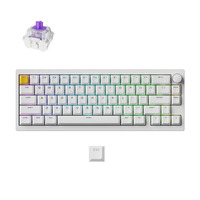 Lemokey P2 HE-P1 Wireless Magnetic Switch Custom Gaming Keyboard Wit, US lay-out, Gateron Double-Rail Magnetic Nebula, 65%, RGB leds, double-shot PBT, hot swap, Knob, 2.4GHz | Bluetooth 5.2 | USB-C