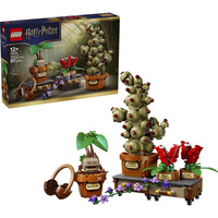 LEGO LEGO 76474 Harry Potter Schloss Hogwarts Constructiespeelgoed 