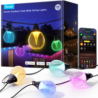 Govee Lichtslinger met helder lampen voor buiten 1-Pack (15 LED | 15m) verlichting Zwart