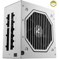 Sharkoon Rebel P20 850 White voeding  Wit, 1x 12VHPWR, 4x PCIe, kabelmanagement